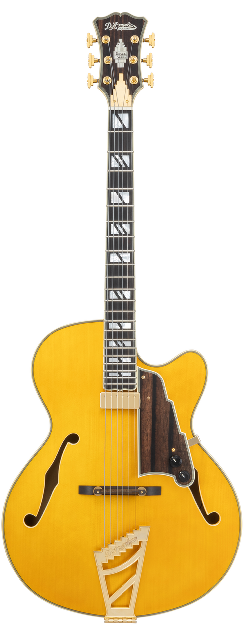 D'Angelico Single Cutaway Hollowbody w/ Case - Amber (DAE16AMBGT) | Musician Madness