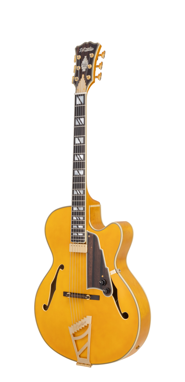The Dâ€™Angelico Single Cutaway Hollowbody in Amber (DAE16AMBGT) delivers warm jazz tone, classic archtop styling, and includes a fitted case. Available at Musician Madness.