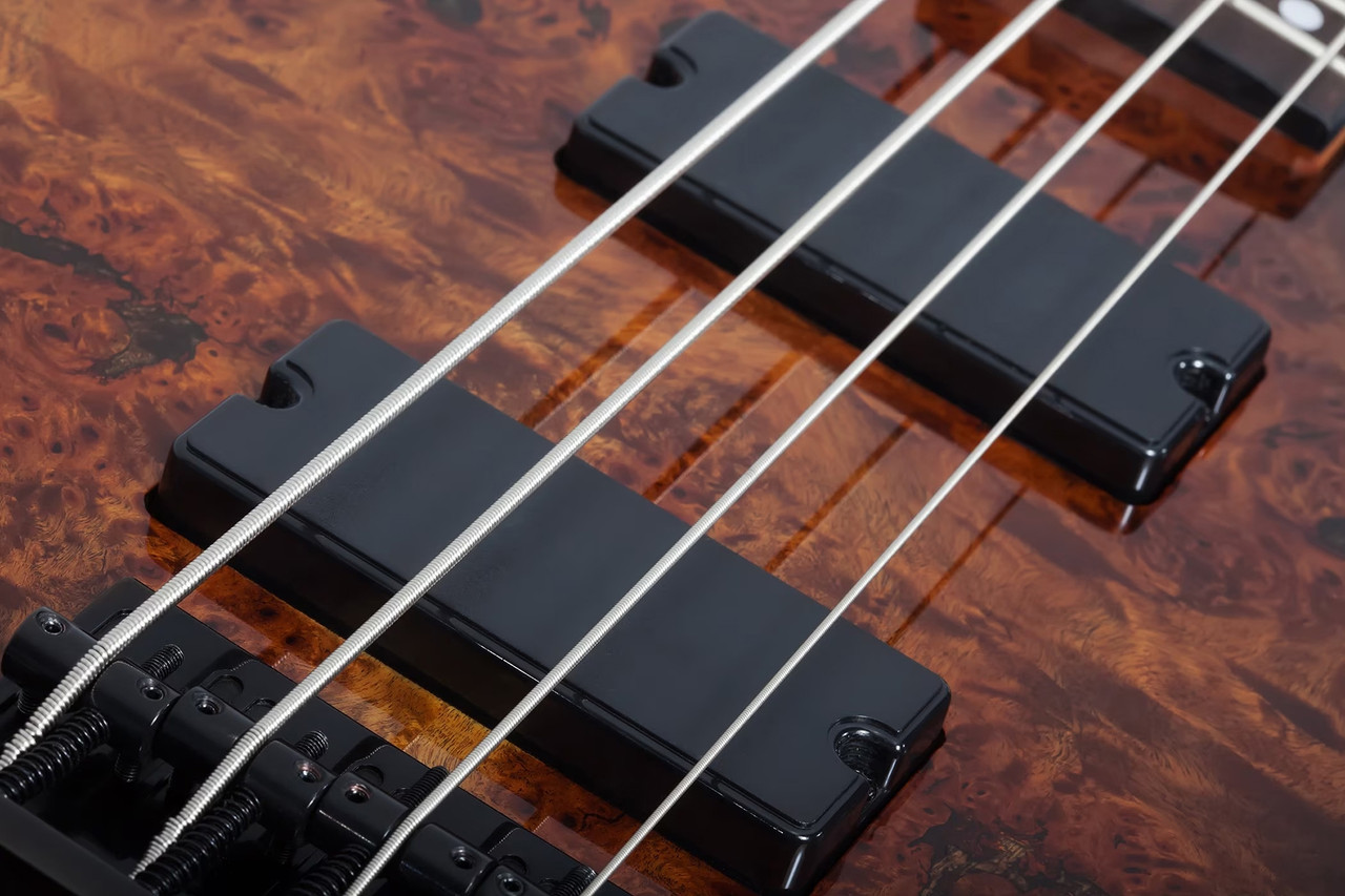 Schecter C-4 Standard Electric Bass - Tobacco Burl (3970) | Musician Madness