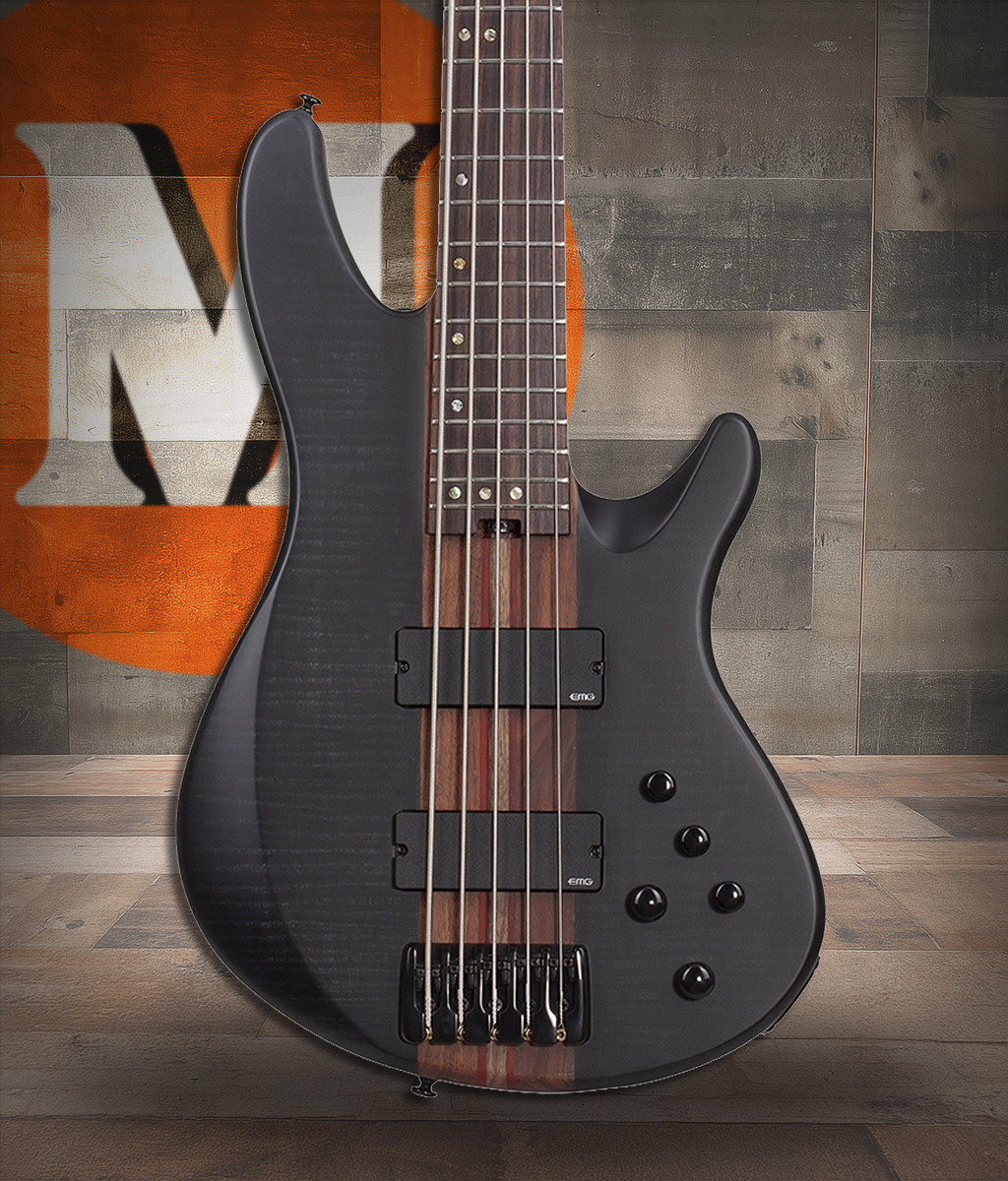 Schecter Charles Berthoud CB-5 - See Thru Black Satin (2873)