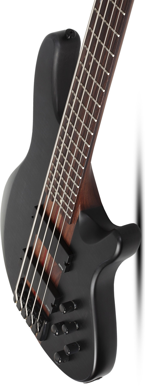 Schecter Charles Berthoud CB-5 - See Thru Black Satin (2873) | Musician Madness
