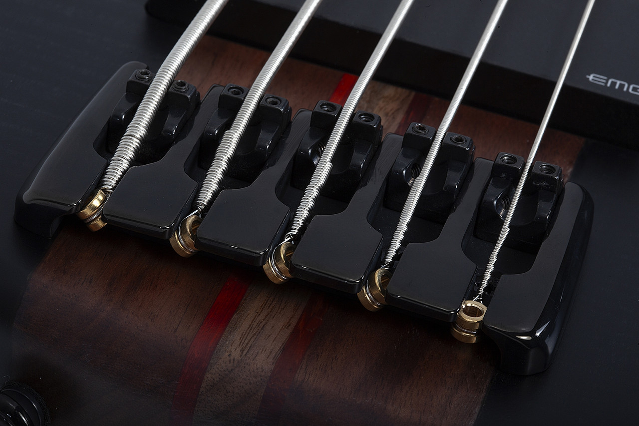 Schecter Charles Berthoud CB-5 - See Thru Black Satin (2873)