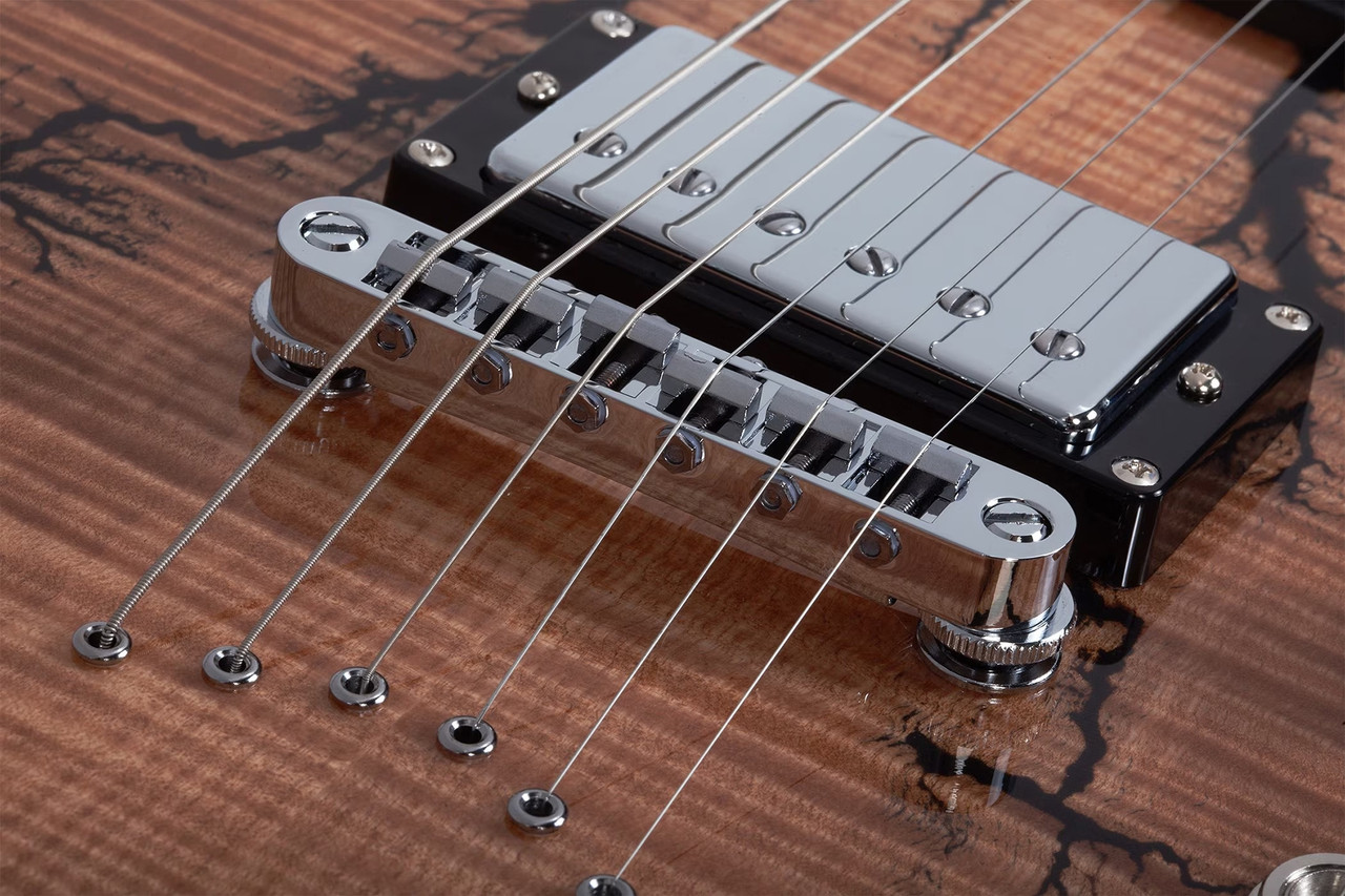 Schecter V-1 Electro-Resin - Gloss Natural (604)