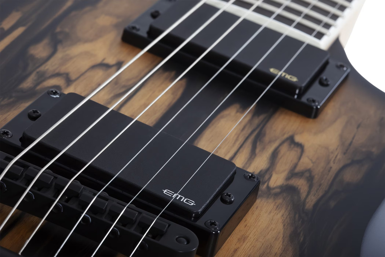 Schecter Wrathmaker - Pale Moon Ebony with Black Burst (4588) | Musician Madness