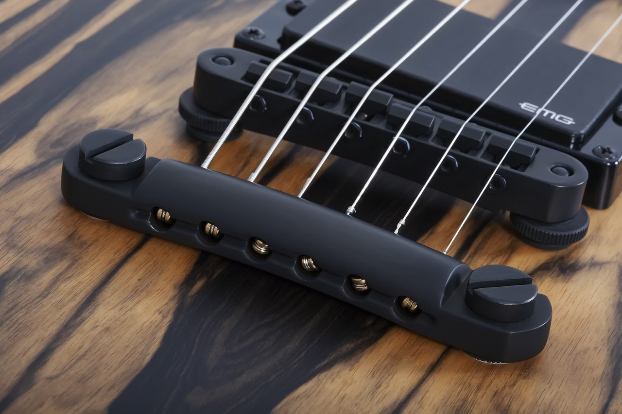 Schecter Wrathmaker - Pale Moon Ebony with Black Burst (4588)