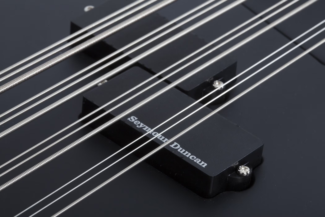 Schecter dUg Pinnick DP-12 - Satin Black (459) | Musician Madness