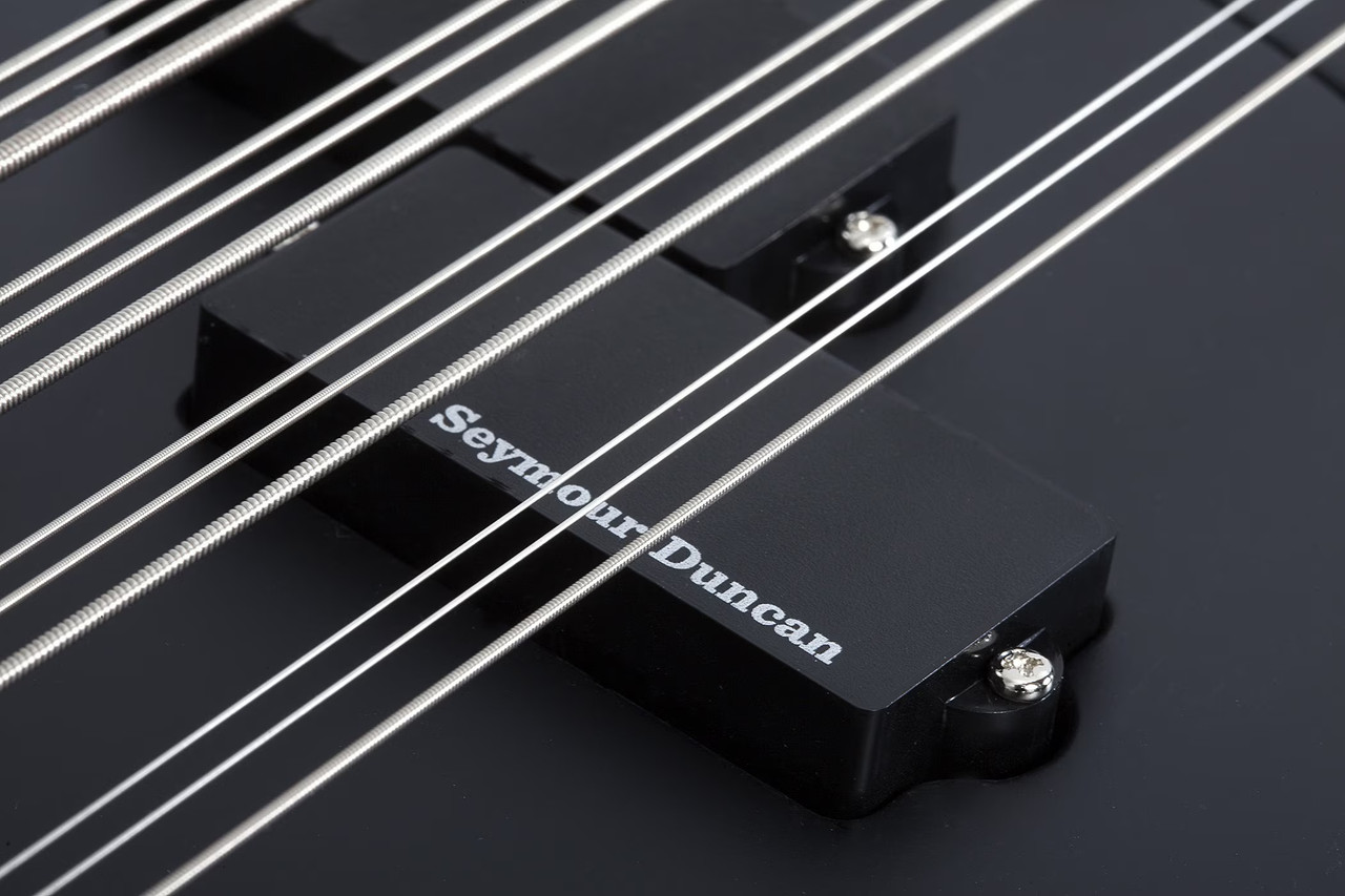 Schecter dUg Pinnick DP-12 - Satin Black (459) | Musician Madness