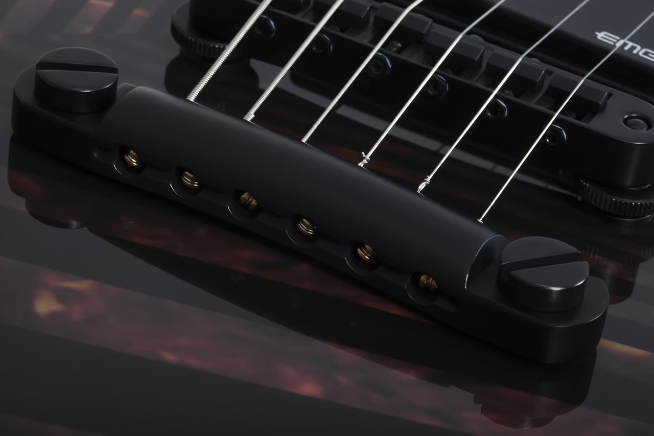 Schecter Wrathmaker - Tortoise Shell Corridors (4591)