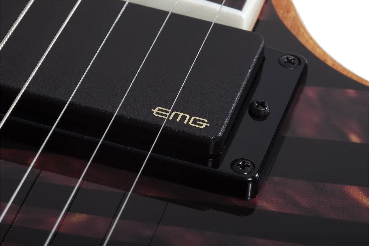 Schecter Wrathmaker - Tortoise Shell Corridors (4591)