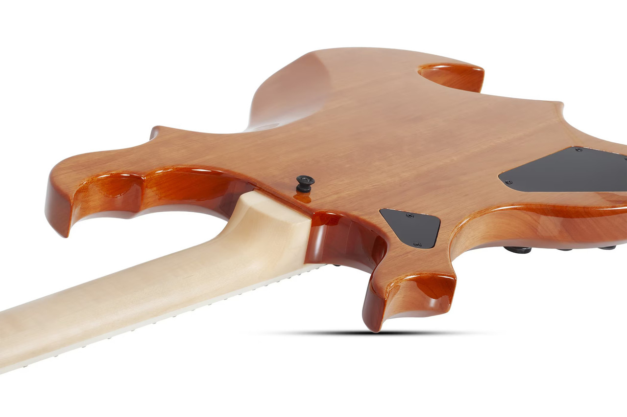 Schecter Wrathmaker - Tortoise Shell Corridors (4591)