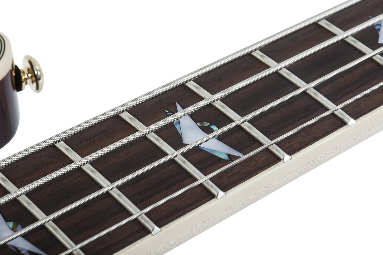 Schecter Omen Extreme-4 - Gloss Natural (2050) | Musician Madness