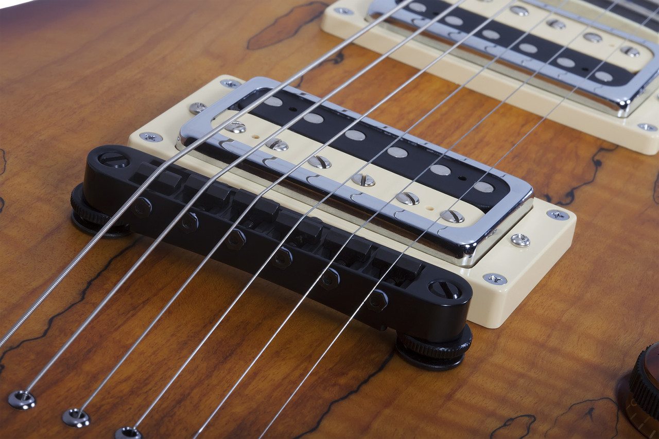 Schecter Avenger Exotic - Spalted Maple (580) | Musician Madness