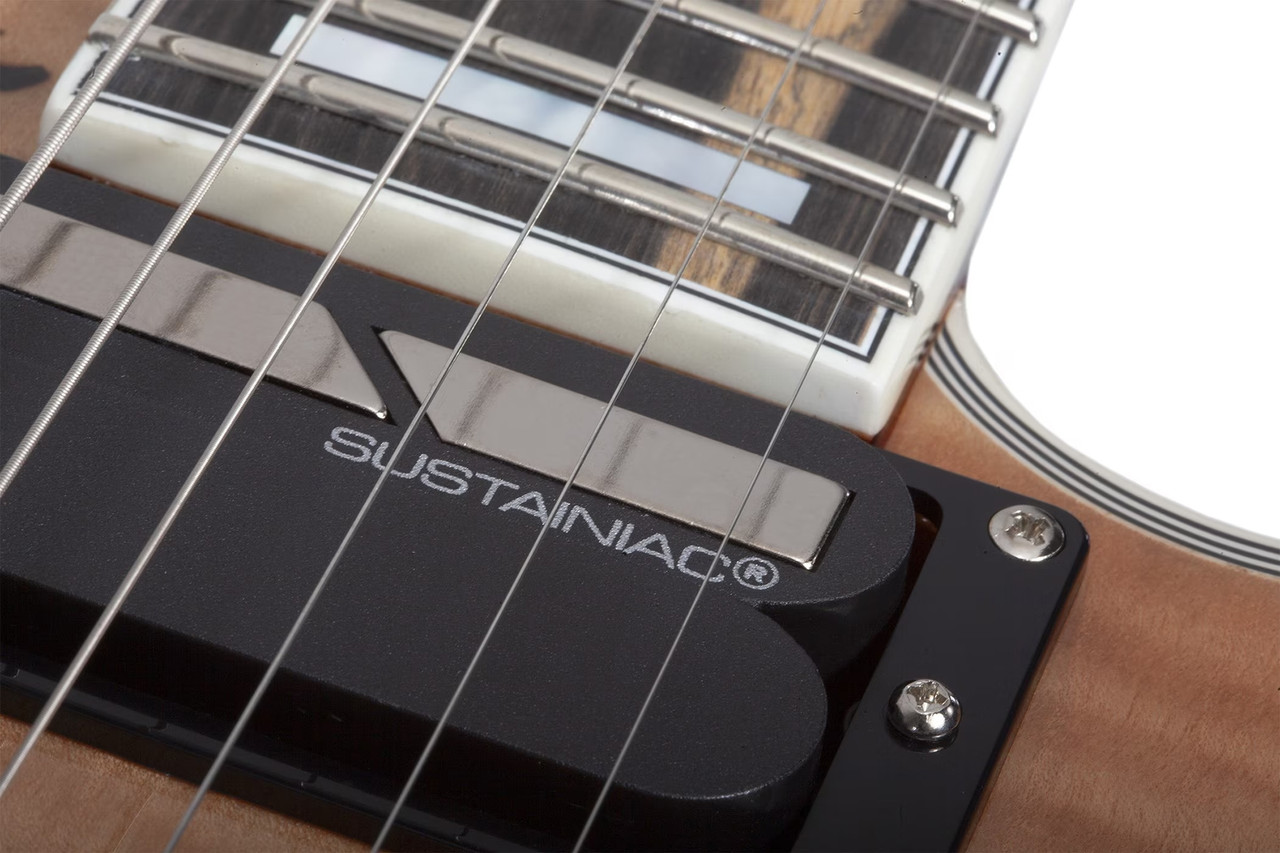 Schecter E-1 FR-S Electro-Resin - Gloss Natural (605)