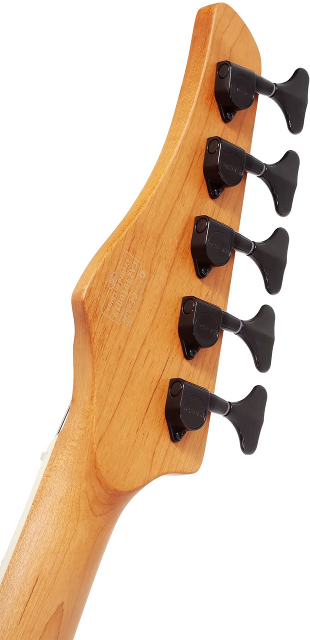 Schecter C-5 Standard - Charcoal Satin (3973)