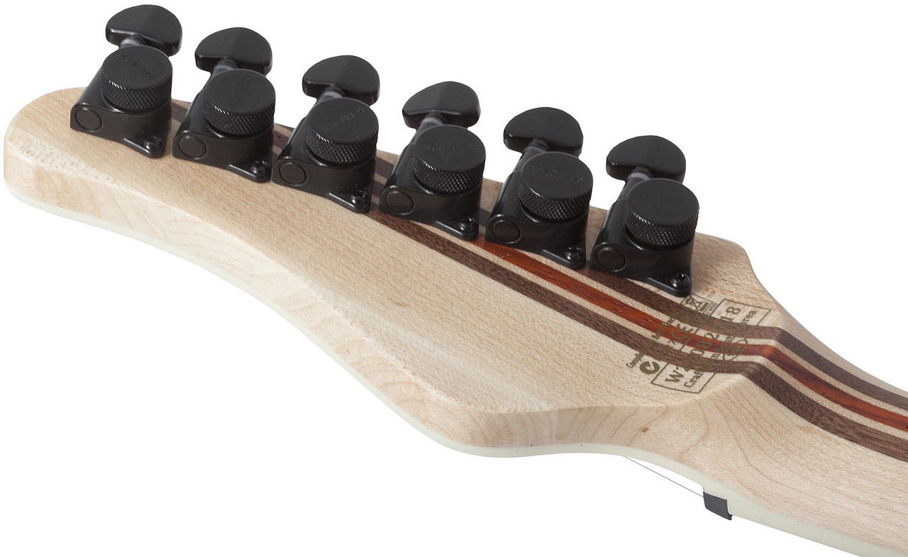 Schecter PT SLS Elite - Blood Burst (1375) | Musician Madness