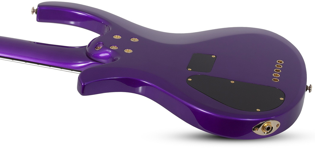 Schecter FreeZesicle Riot-5 - Freeze Purple (2298) | Musician Madness