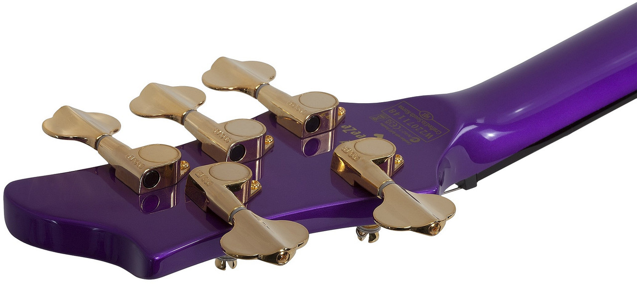 Schecter FreeZesicle Riot-5 - Freeze Purple (2298) | Musician Madness