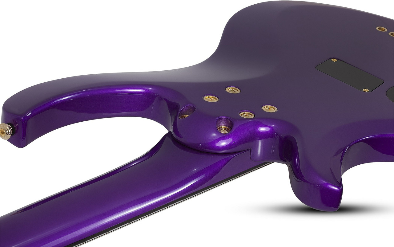 Schecter FreeZesicle Riot-5 - Freeze Purple (2298) | Musician Madness