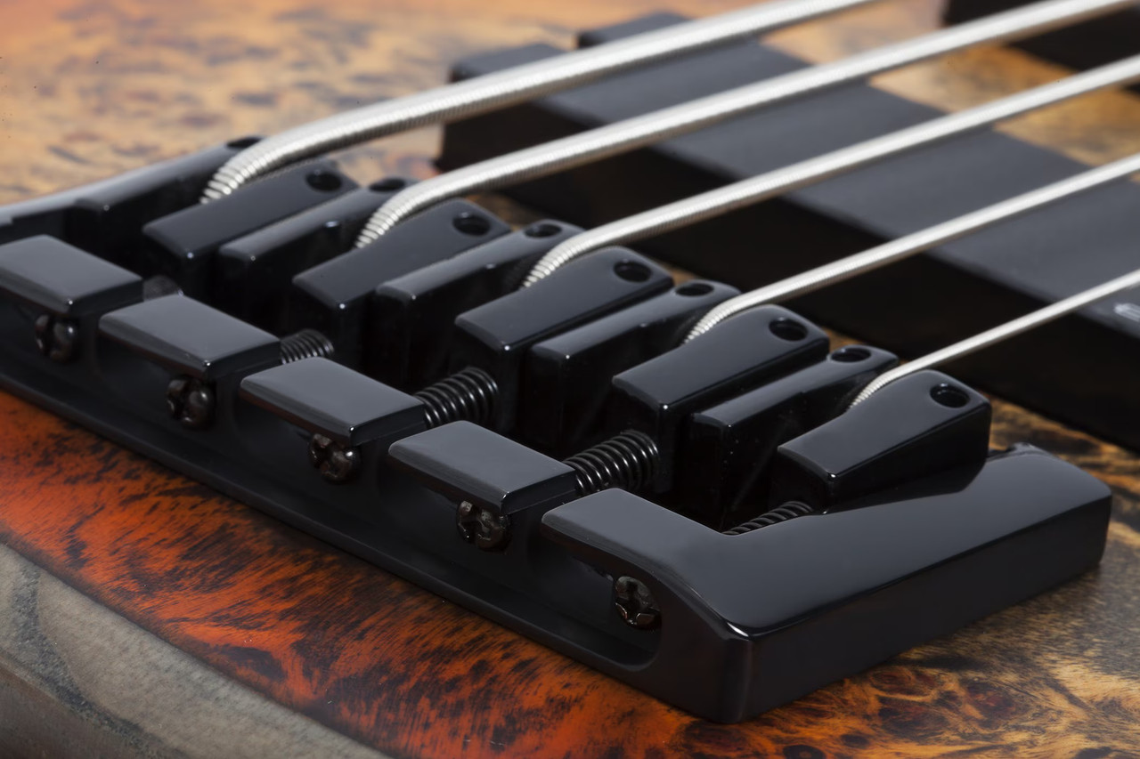 Schecter Riot-5 Bass - Inferno Burst (1453) | Musician Madness