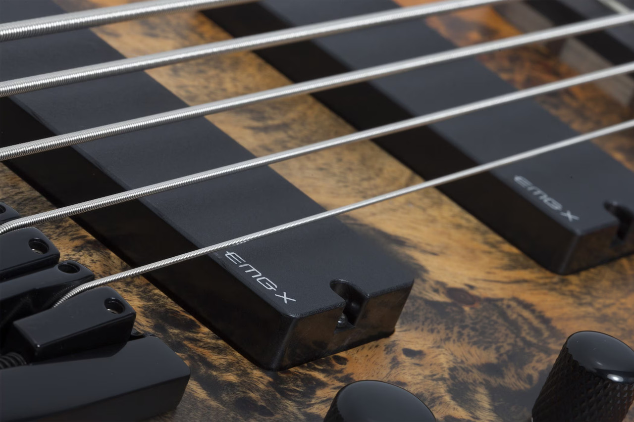 Schecter Riot-5 Bass - Inferno Burst (1453) | Musician Madness