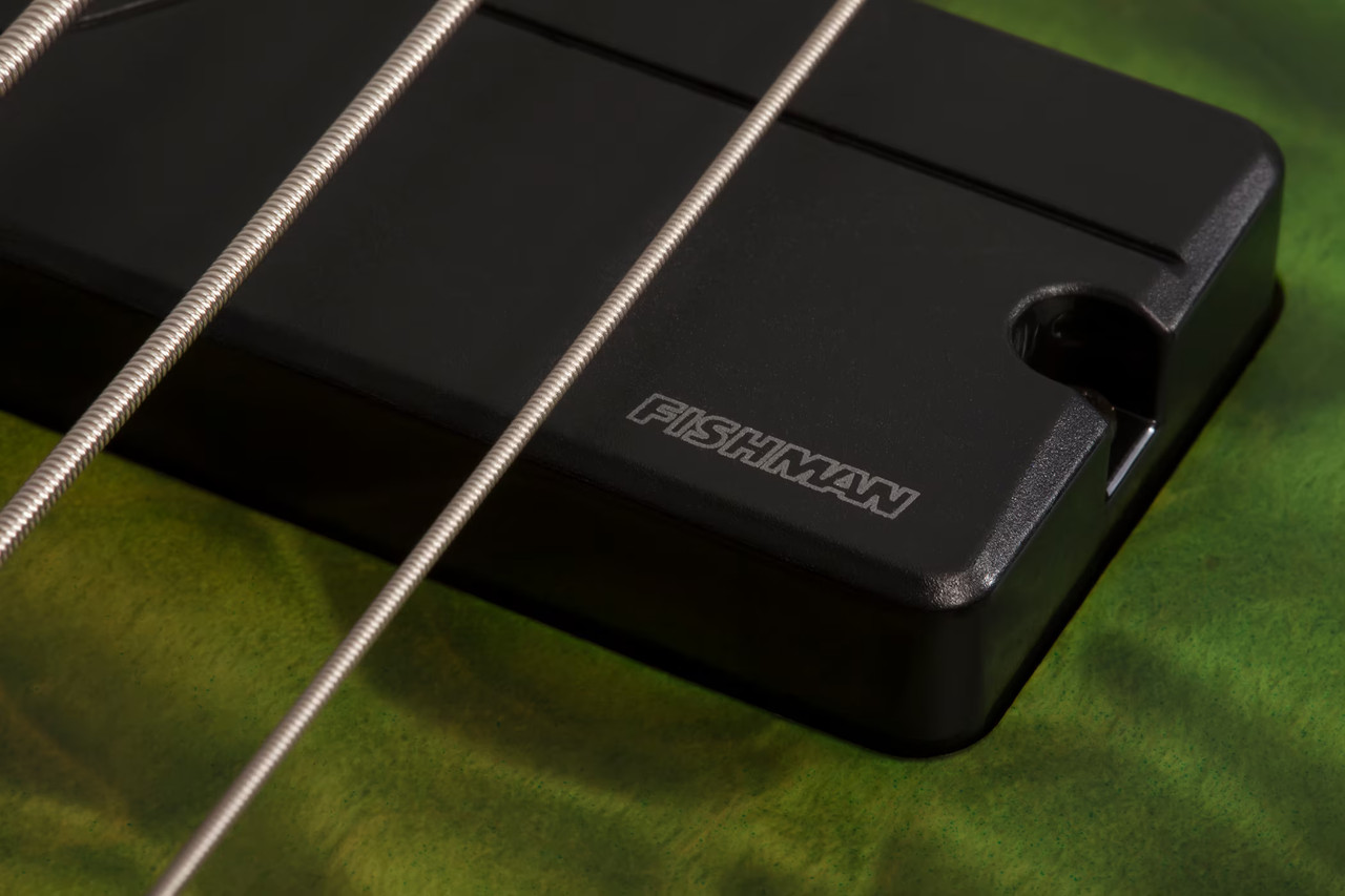 Schecter Daniel Firth Hellraiser Extreme-5 Signature Bass - Cthulhu Burst Satin (378)