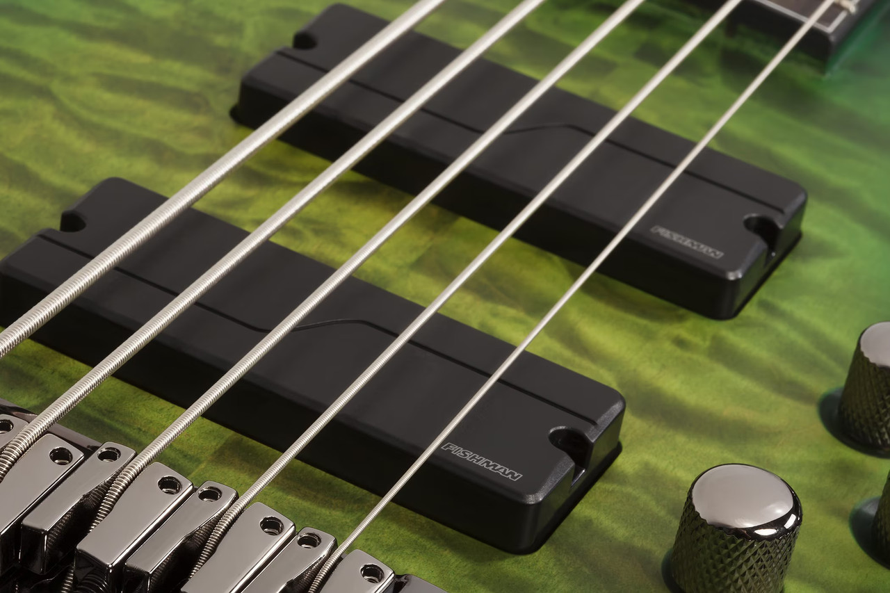 Schecter Daniel Firth Hellraiser Extreme-5 Signature Bass - Cthulhu Burst Satin (378) | Musician Madness