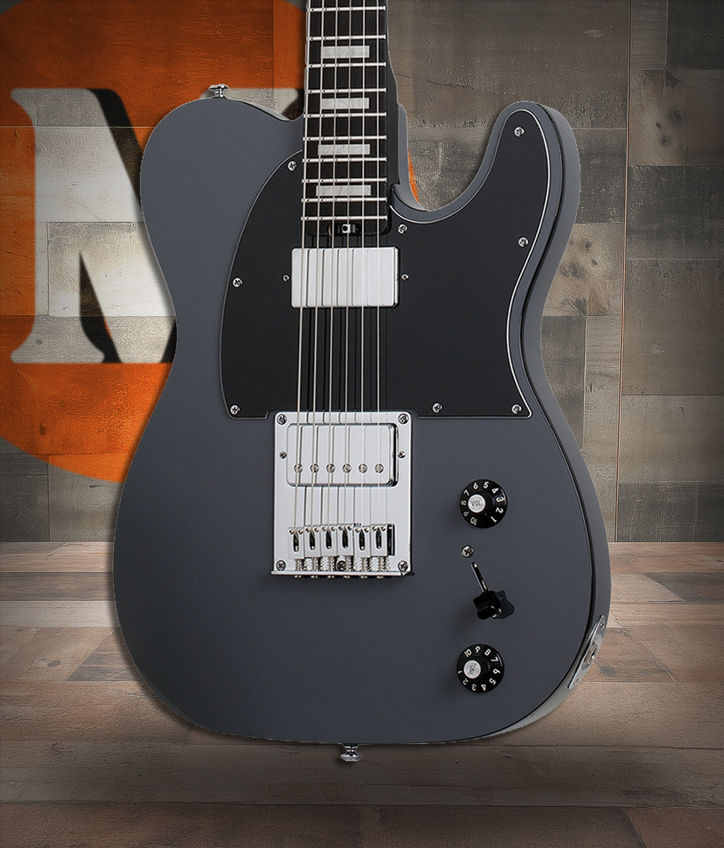 Schecter PT EX - Dorian Gray (2148) | Musician Madness