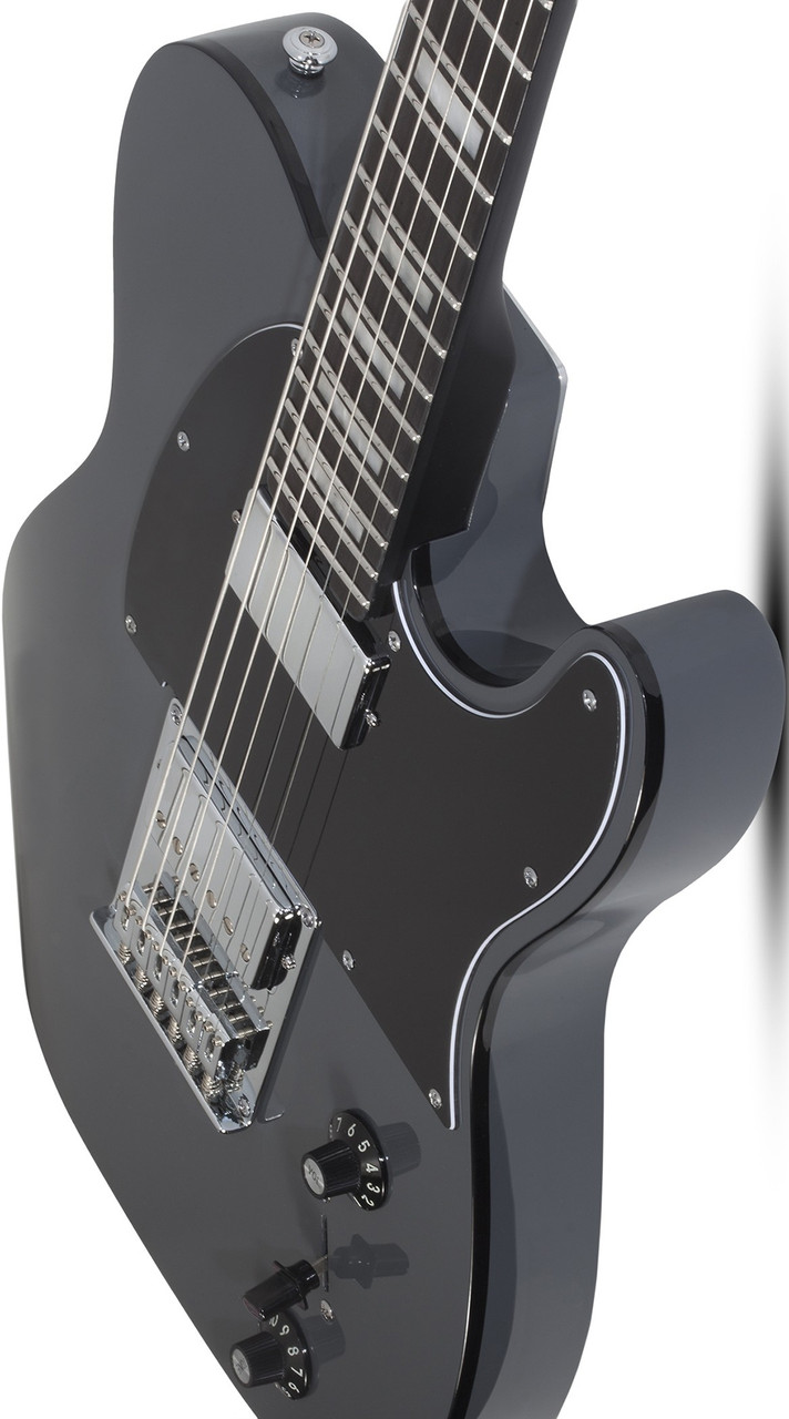 Schecter PT EX - Dorian Gray (2148) | Musician Madness