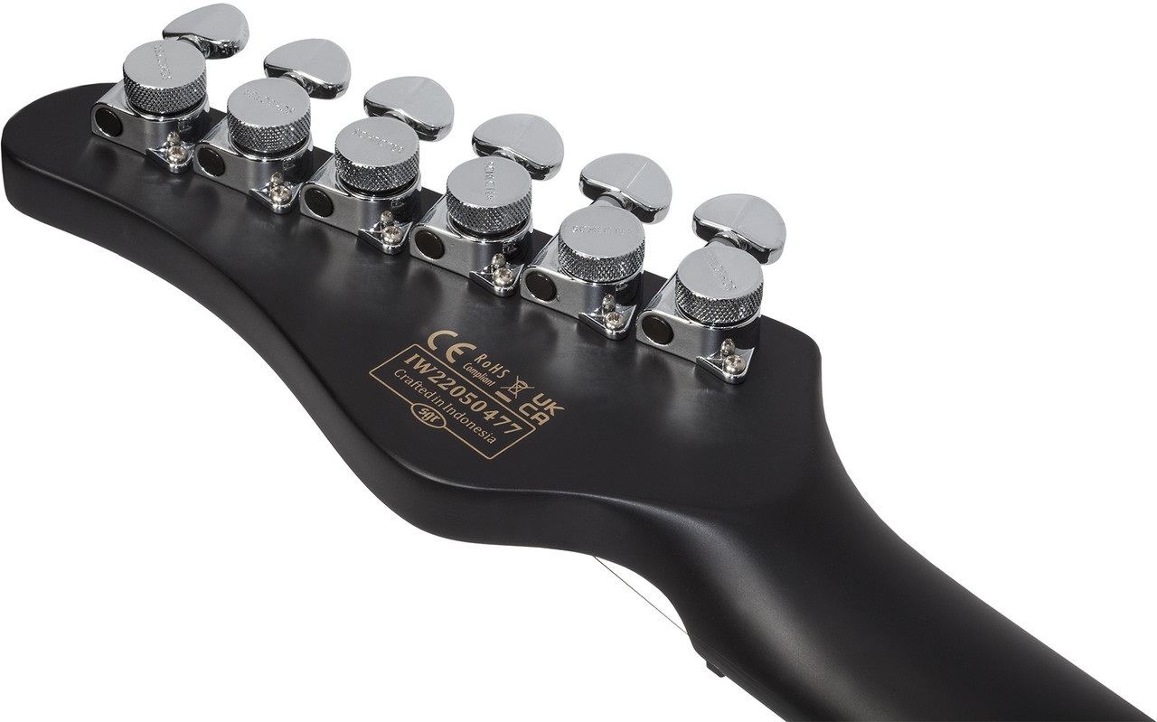 Schecter PT EX - Dorian Gray (2148) | Musician Madness