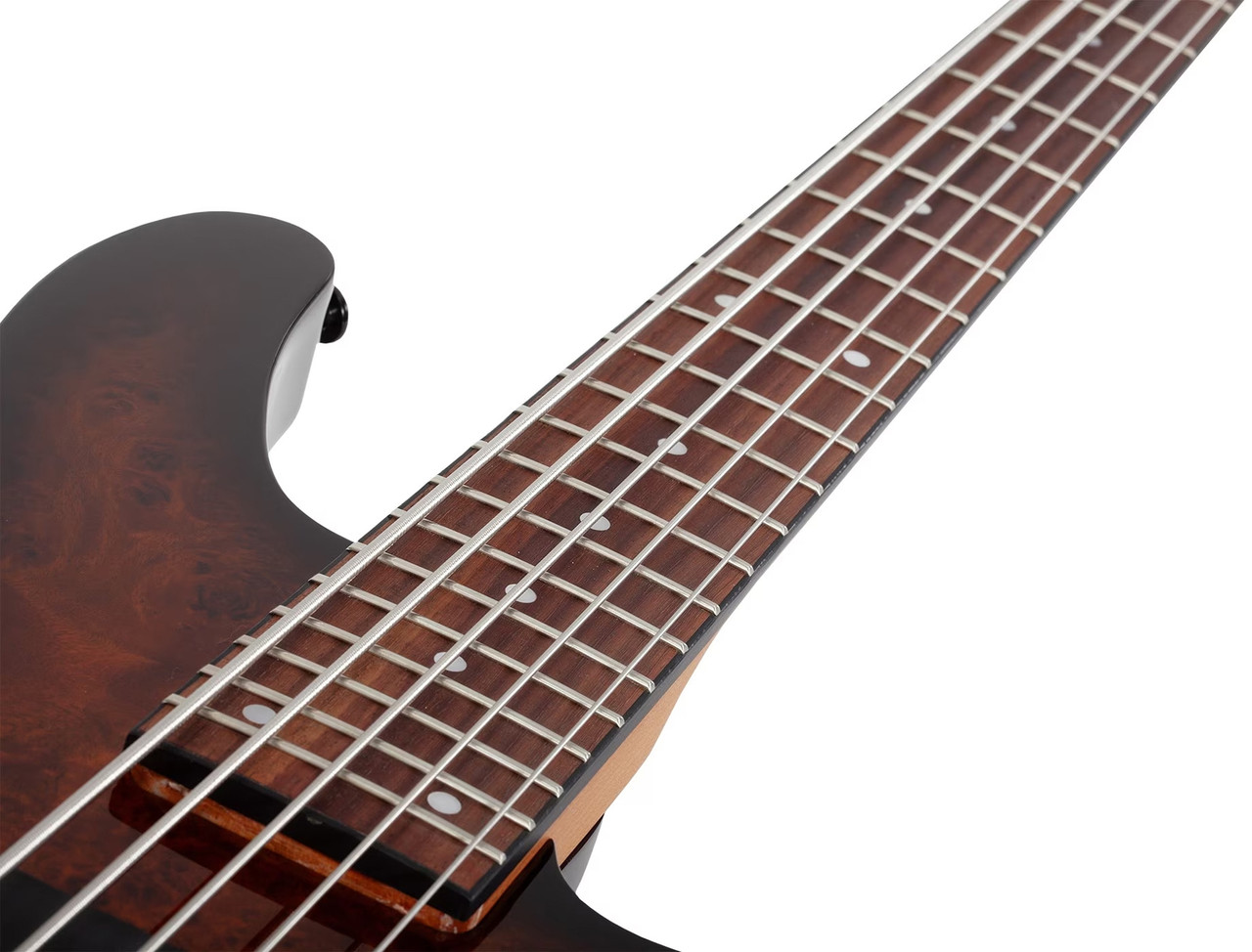 Schecter C-5 Standard - Tobacco Burl (3972)