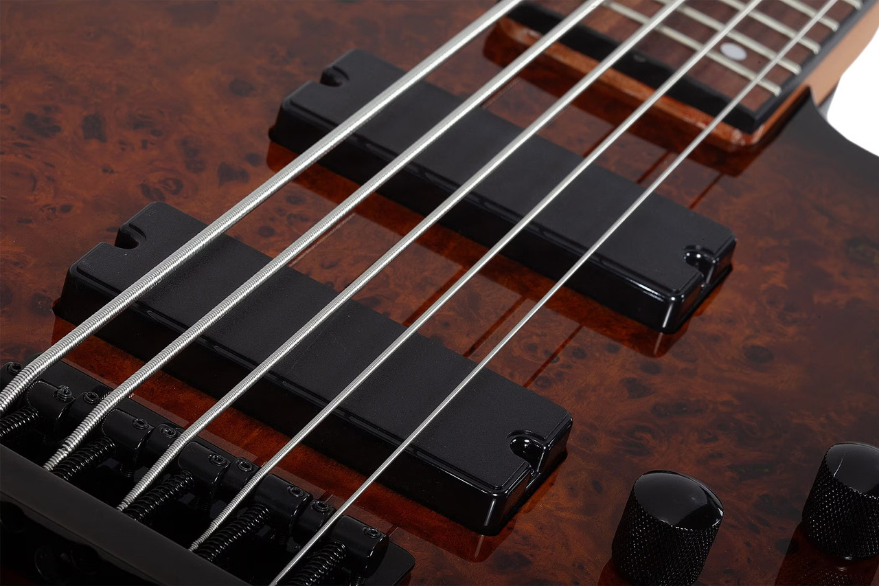 Schecter C-5 Standard - Tobacco Burl (3972)
