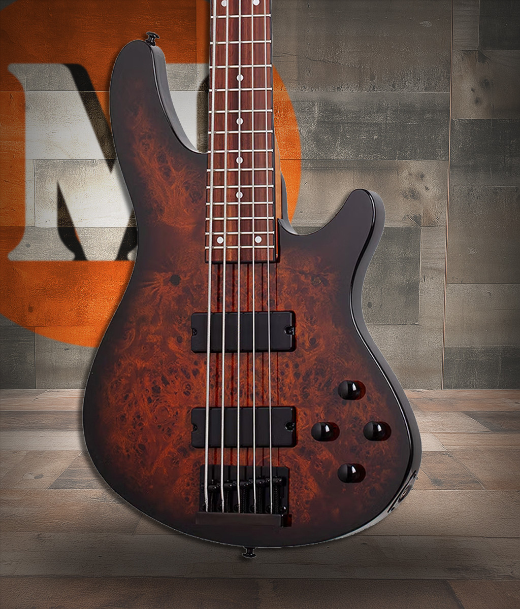 Schecter C-5 Standard - Tobacco Burl (3972) | Musician Madness