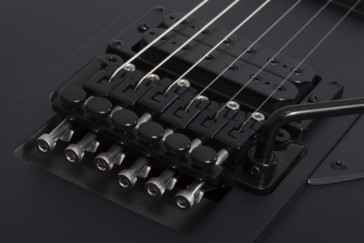 Schecter Riggs Ultra FR-S - Satin Black (2291) | Musician Madness