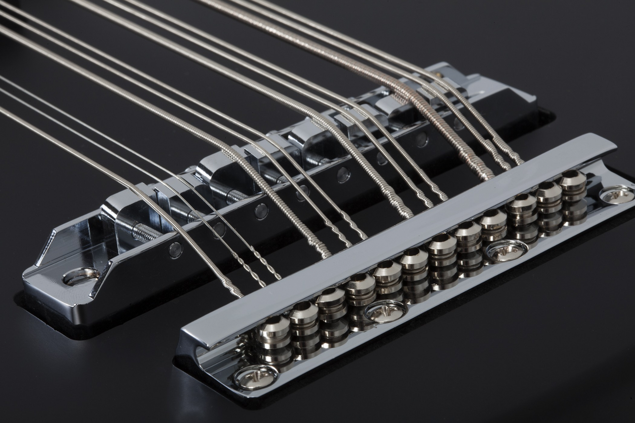 Schecter dUg Pinnick DP-12 LH - Satin Black (460) | Musician Madness