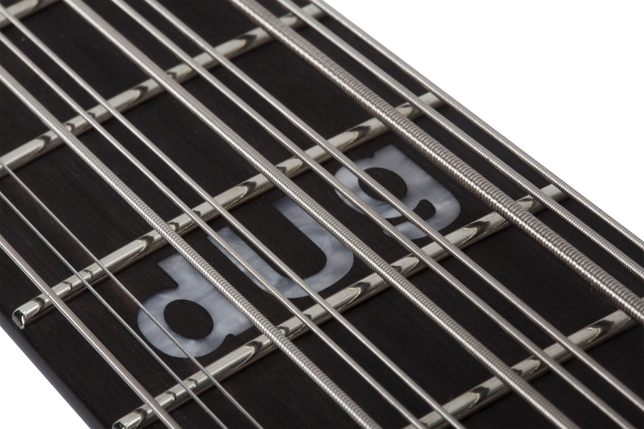 Schecter dUg Pinnick DP-12 LH - Satin Black (460) | Musician Madness