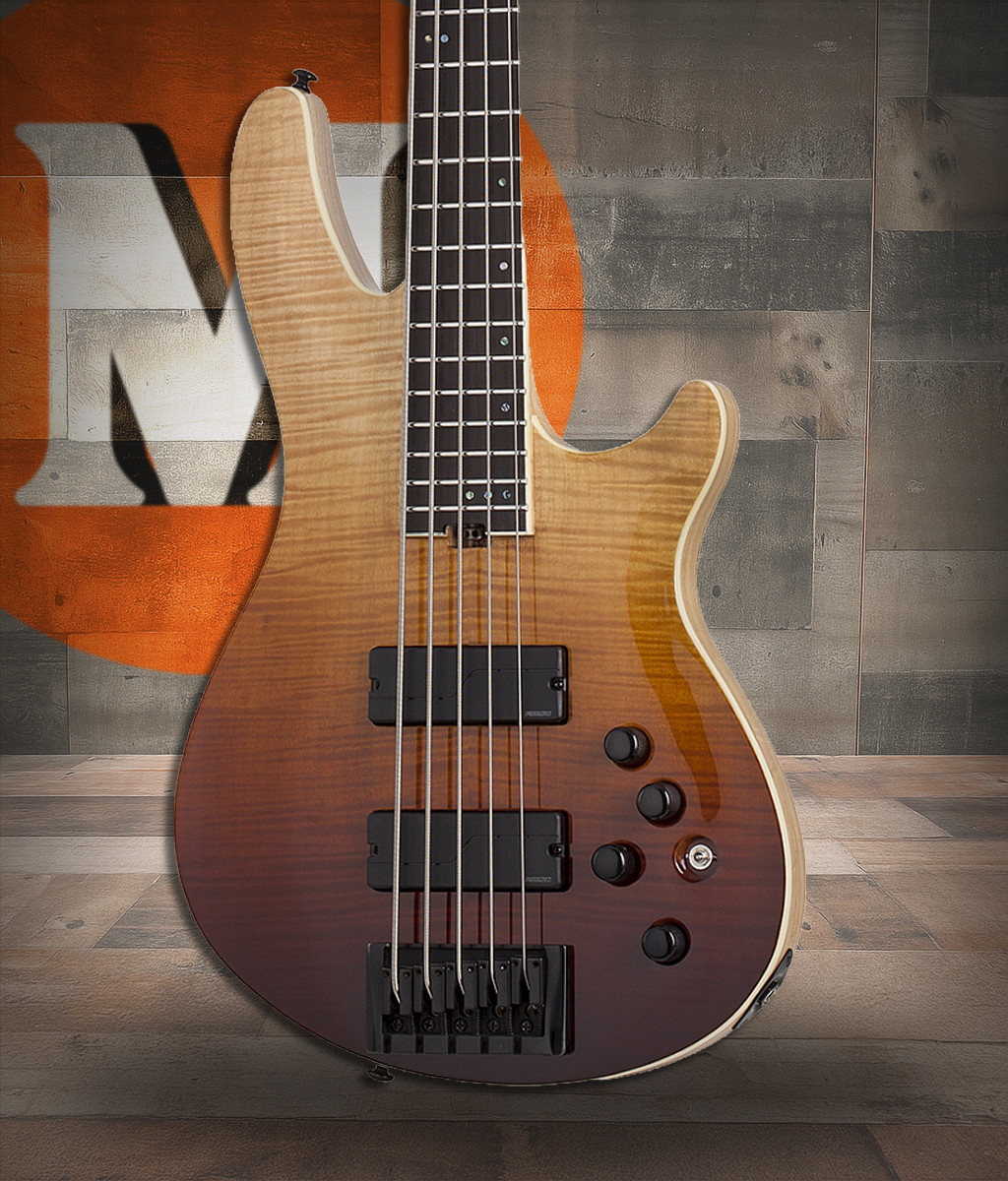 Schecter SLS Elite-5 - Antique Fade Burst (1393)