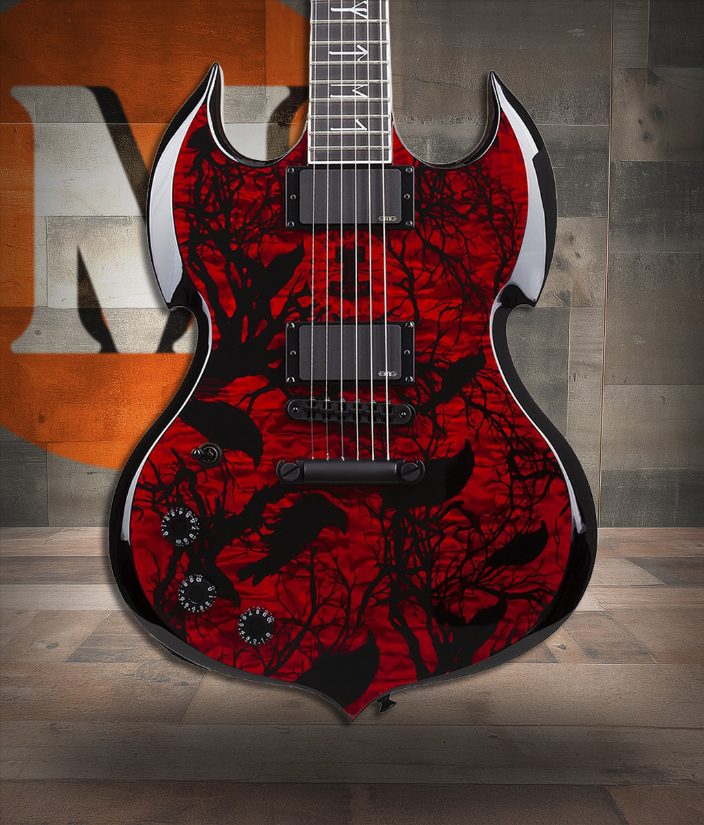 Schecter Barbarian LH - Blood Raven (4585) | Musician Madness