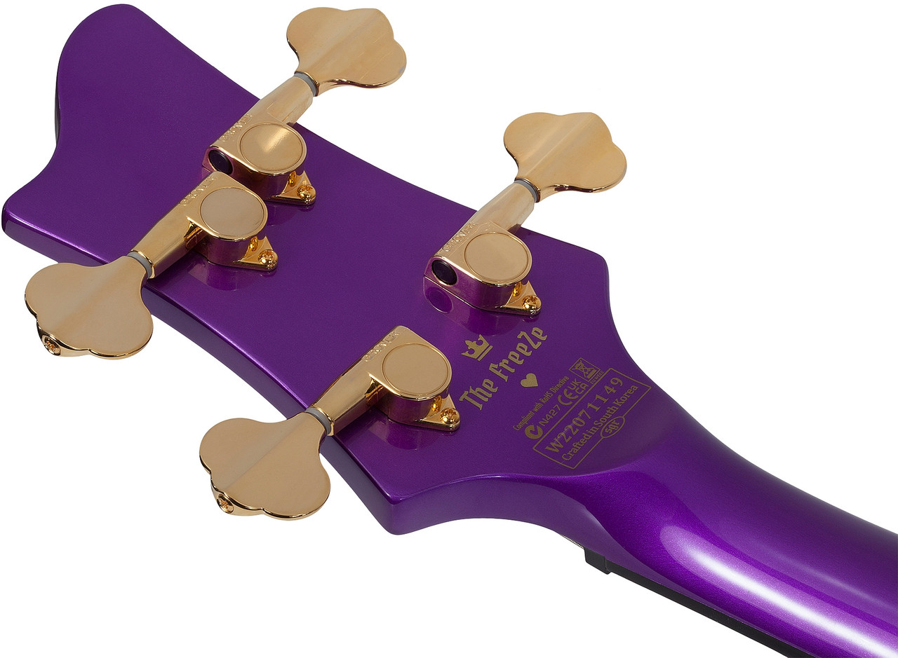 Schecter FreeZesicle-4 - Freeze Purple (2297) | Musician Madness