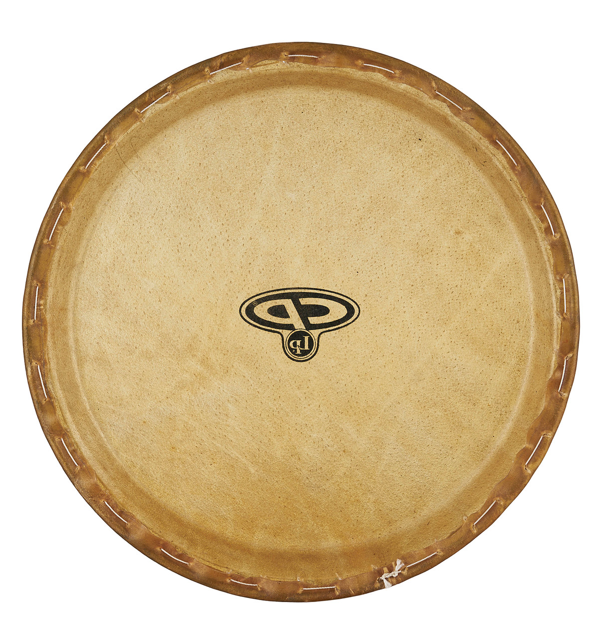Latin Percussion LP 11" Pre-mounted Head for CP646/643 Rawhide (CP640B) | Musician Madness