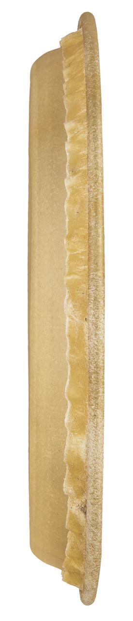 Latin Percussion LP 11" Pre-mounted Head for CP646/643 Rawhide (CP640B) | Musician Madness