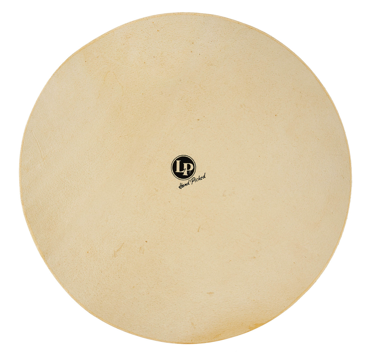 LP 20 Unmounted Conga Skin Rawhide percussion instrument