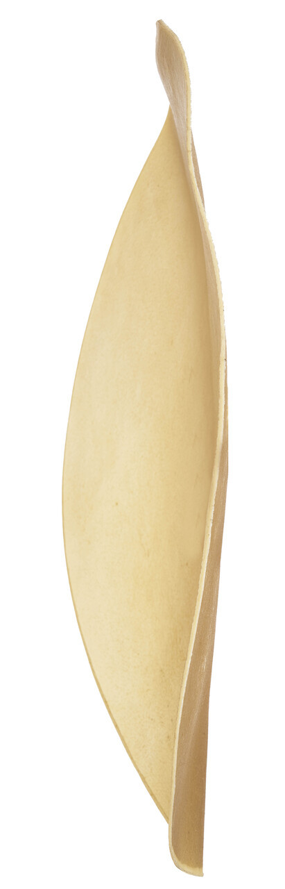 LP 20 Unmounted Conga Skin Rawhide percussion instrument