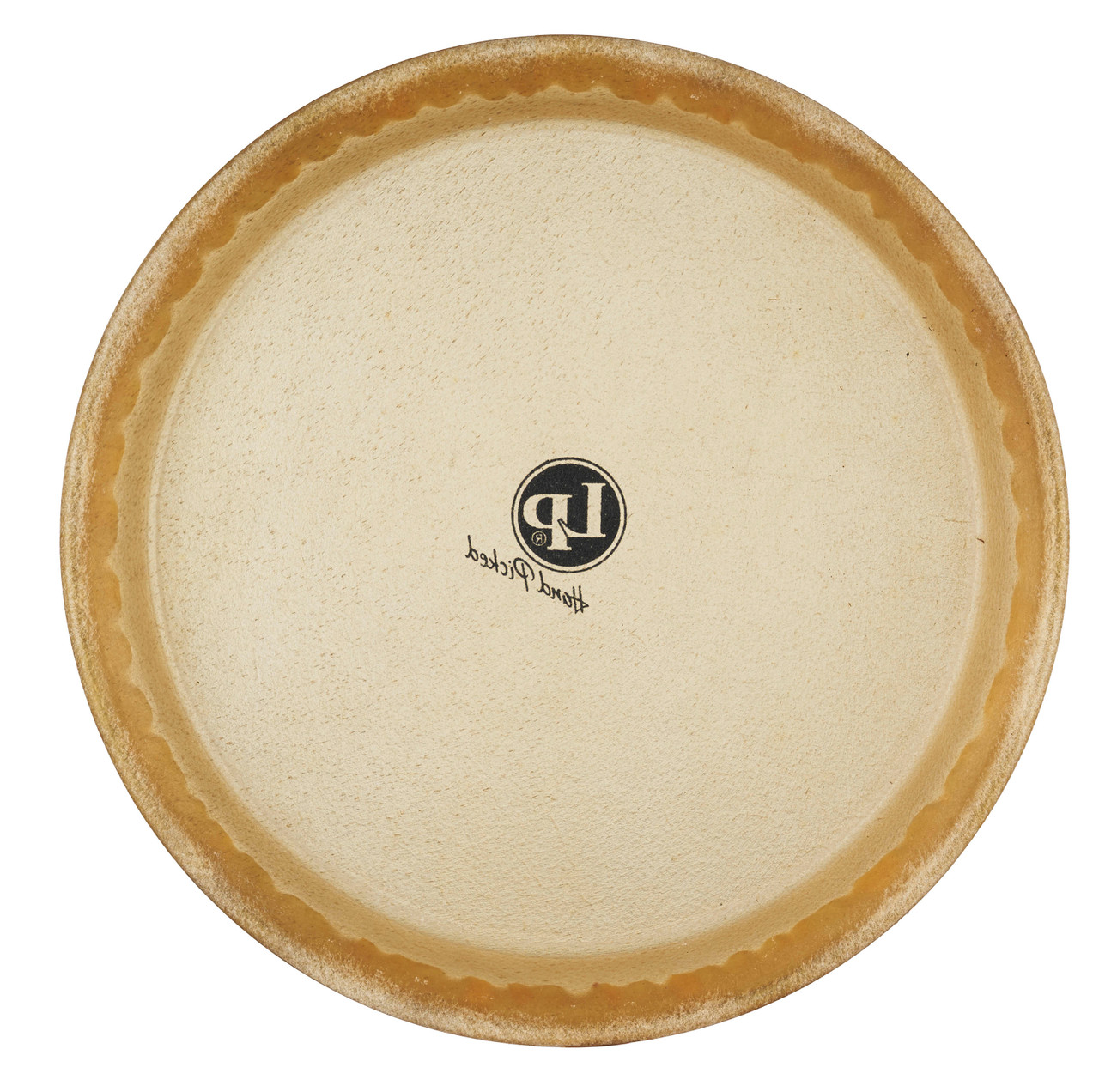 Latin Percussion LP 11" Pre-mounted Head X Rawhide (LP265A) | Musician Madness