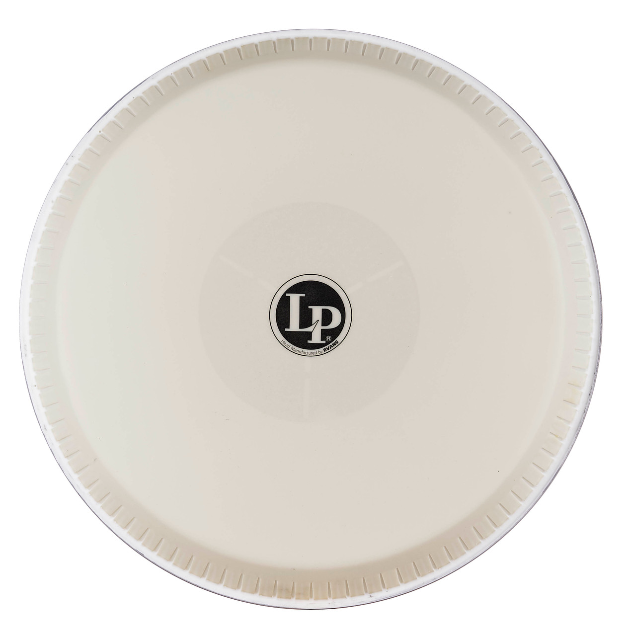 Latin Percussion LP Evans Synth Head Quinto X-Series (LP265AE) | Musician Madness