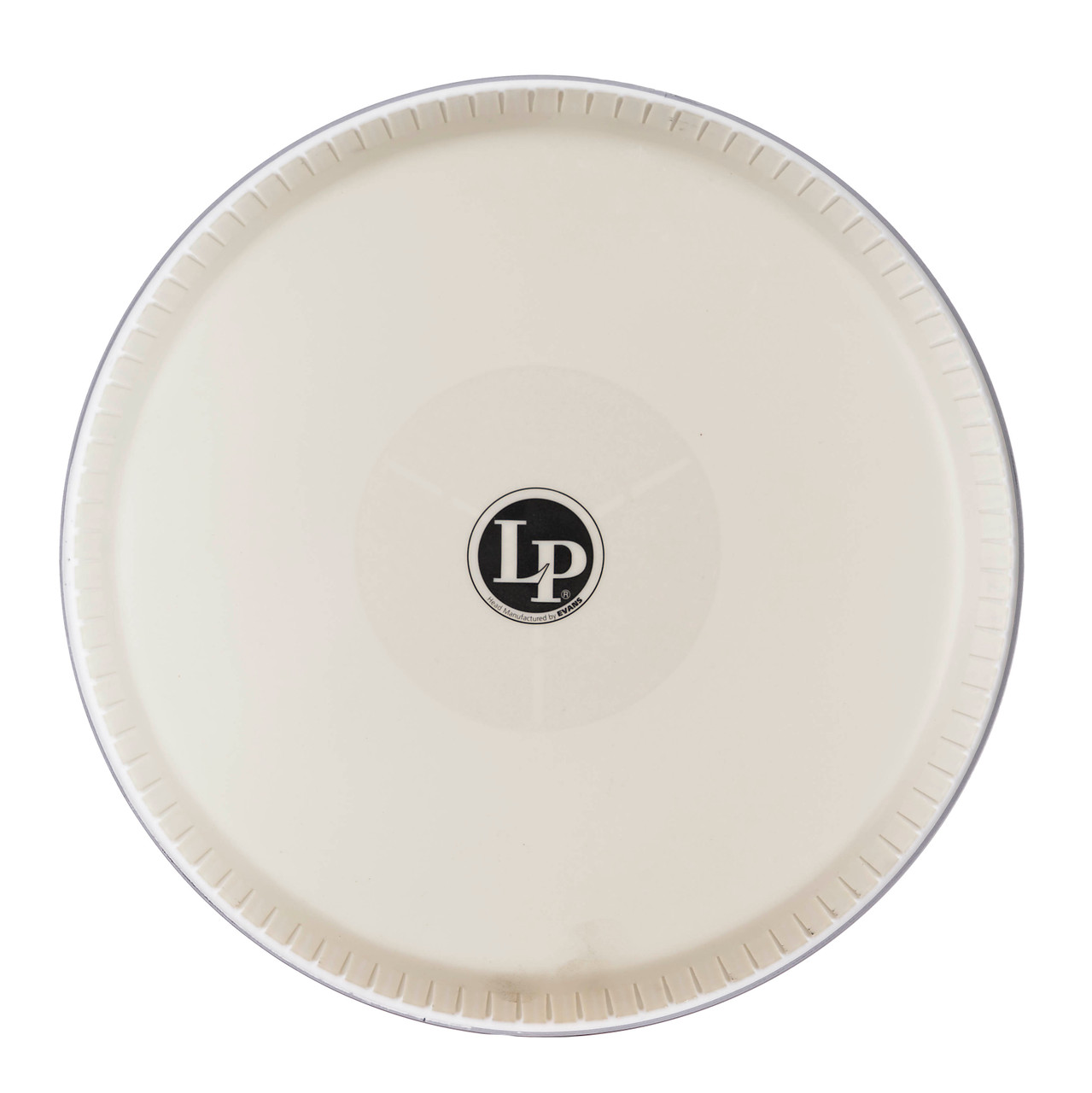 Latin Percussion LP Evans Synth Head Conga X Series (LP265BE) | Musician Madness