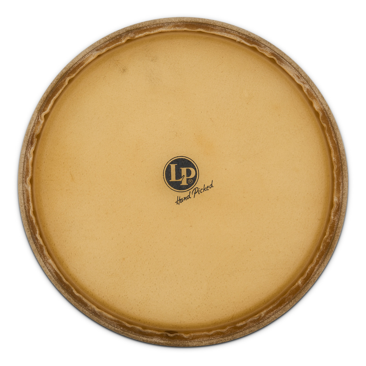 Latin Percussion LP 12 1/2"  Mounted Tumbadora Head (LP265C) | Musician Madness