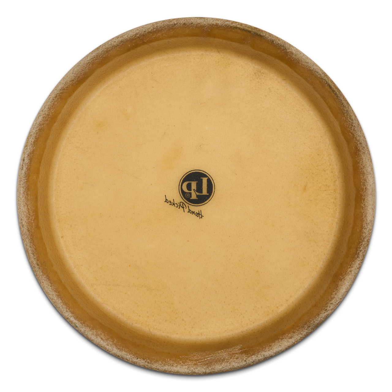 LP 12 1/2  Mtd Tumbadora Head percussion instrument