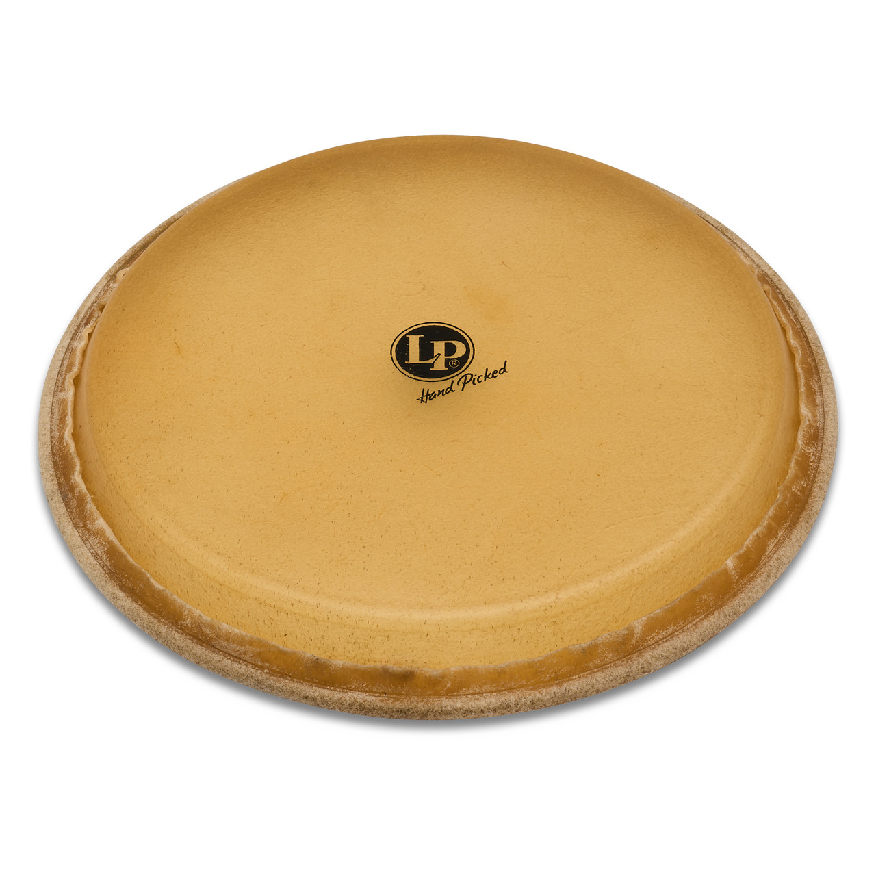 LP 12 1/2  Mtd Tumbadora Head percussion instrument