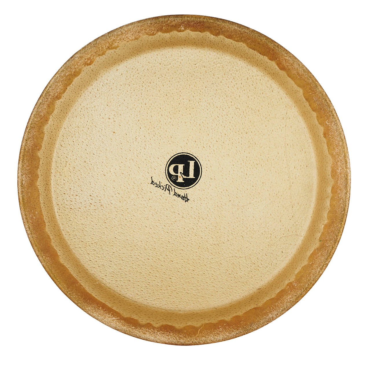 LP 11 Premounted Head Z Rawhide percussion instrument