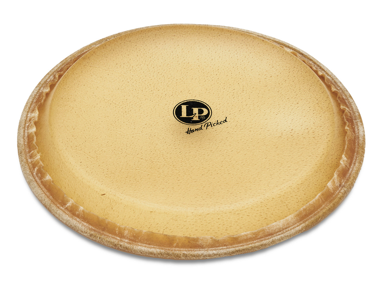 Latin Percussion LP 11" Pre-mounted Head Z Rawhide (LP274A) | Musician Madness
